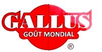 Logo Gallus New World